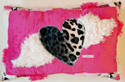 Appliqued "Free Spirit" on Pink Pillow