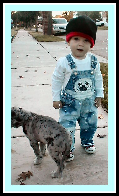 Custom Painted Snow Babies Sea Lion Overalls