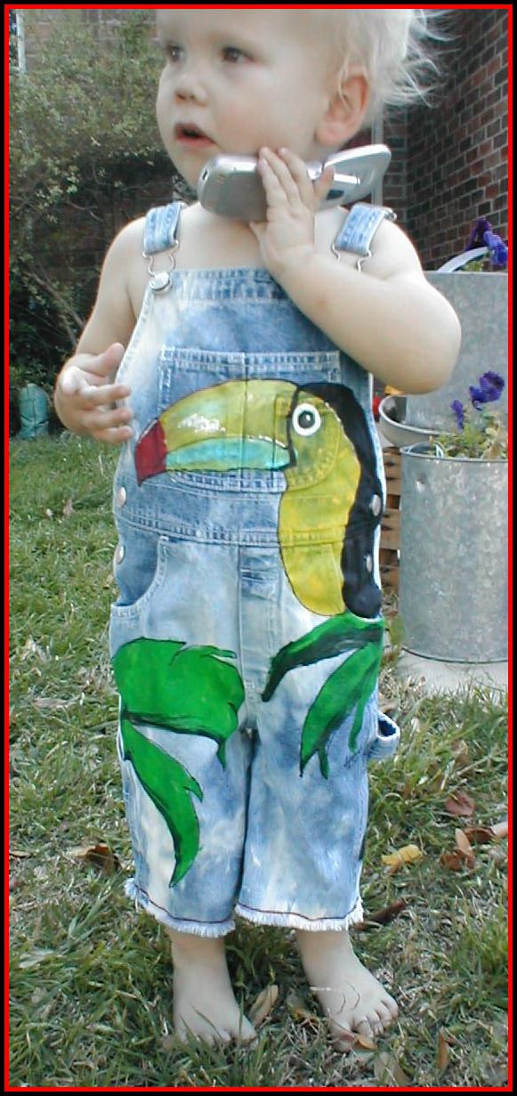Hand Painted Summer Toucan Overalls for boys